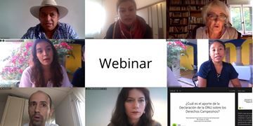 Honduras: Rückblick auf das Webinar zur UNO-Deklaration über die Rechte der Bäuerinnen und Bauern